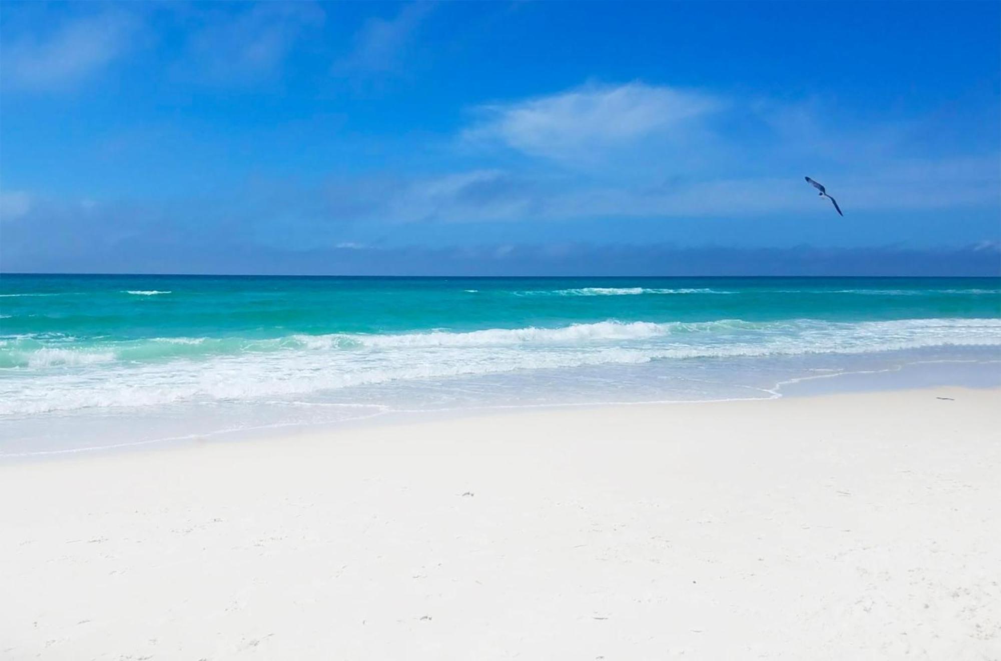 Majestic Towers 1-2113 Panama City Beach